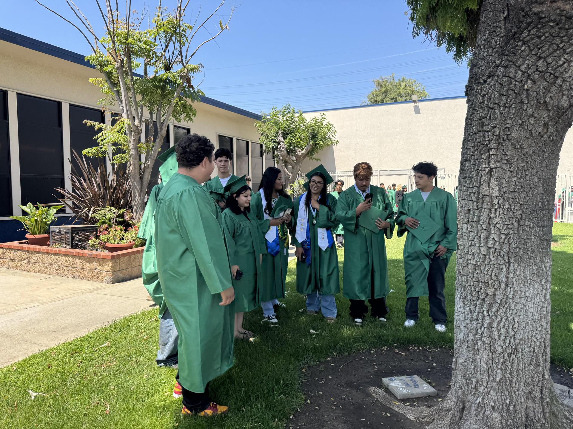alumni