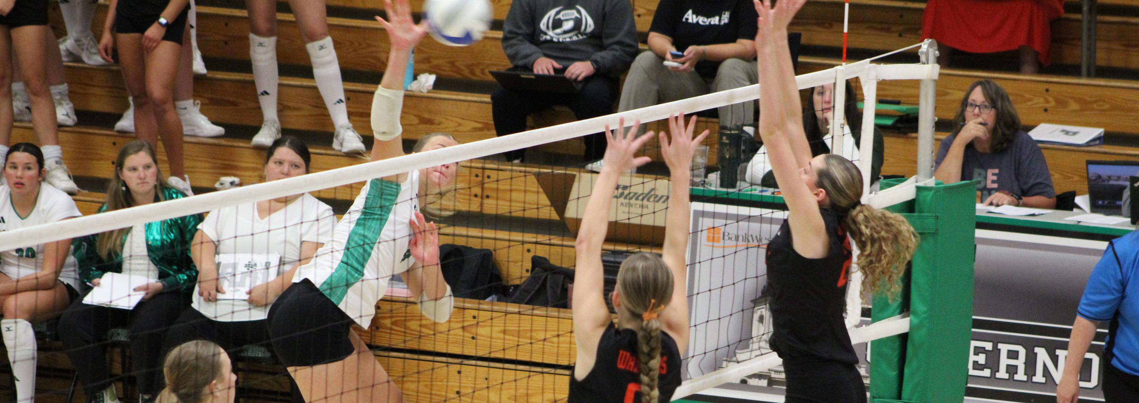 Governor Volleyball Player Hitting Over the Net