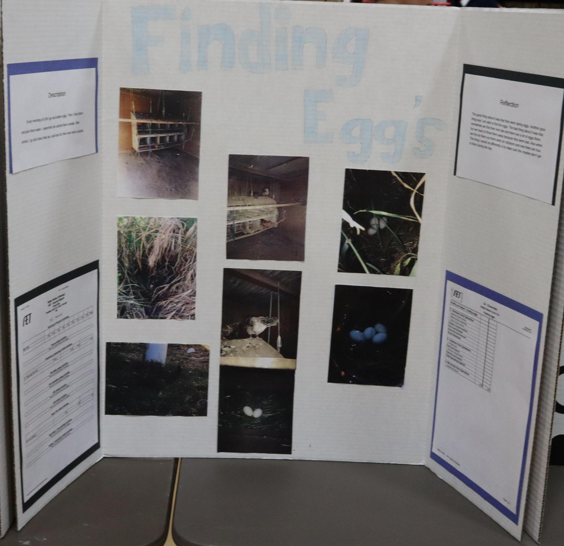 A Supervised Agricultural Experience trifold display