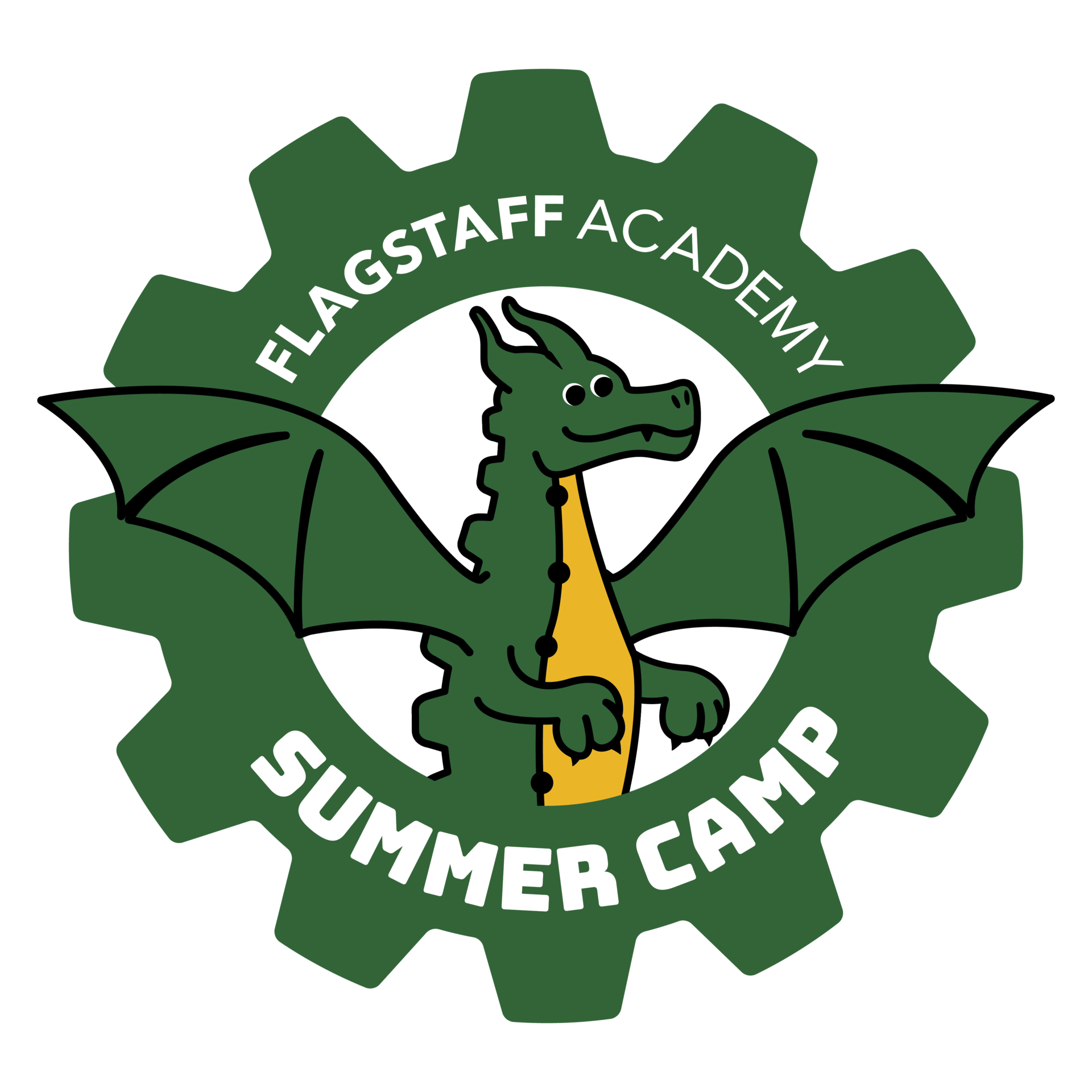 DF Summer Camp