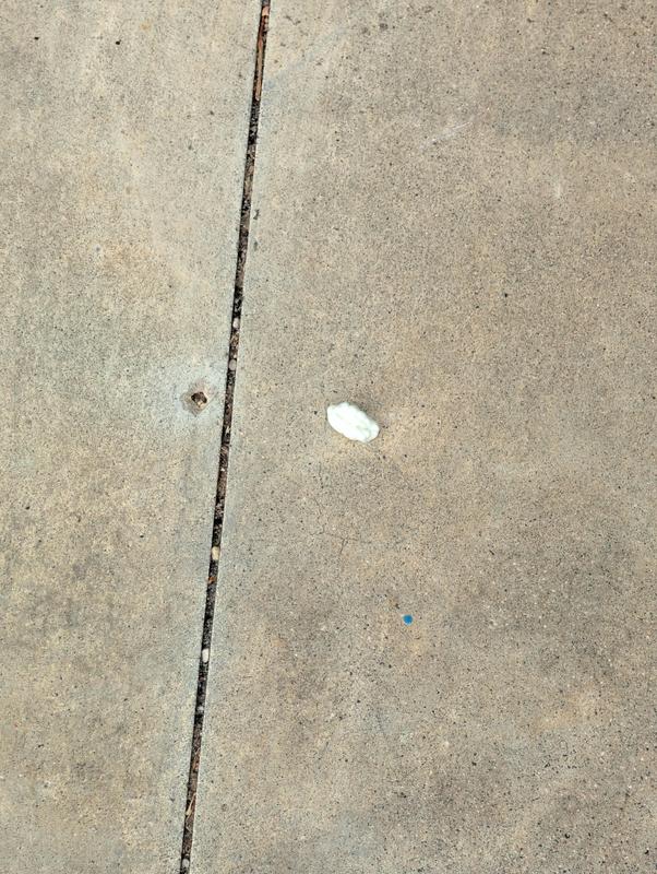 gum on the ground