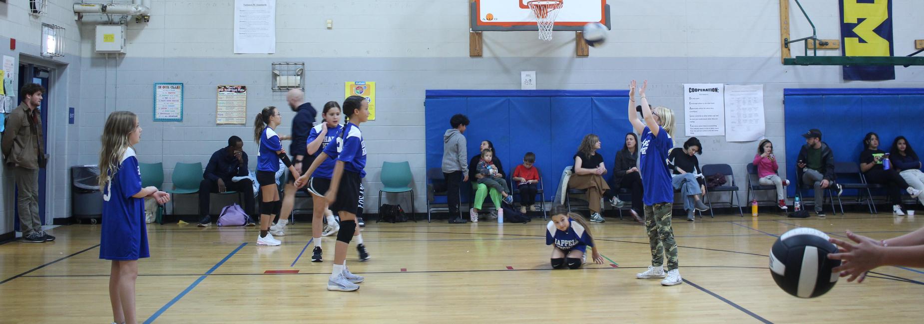 volley