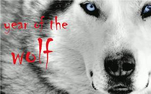 year of the wolf