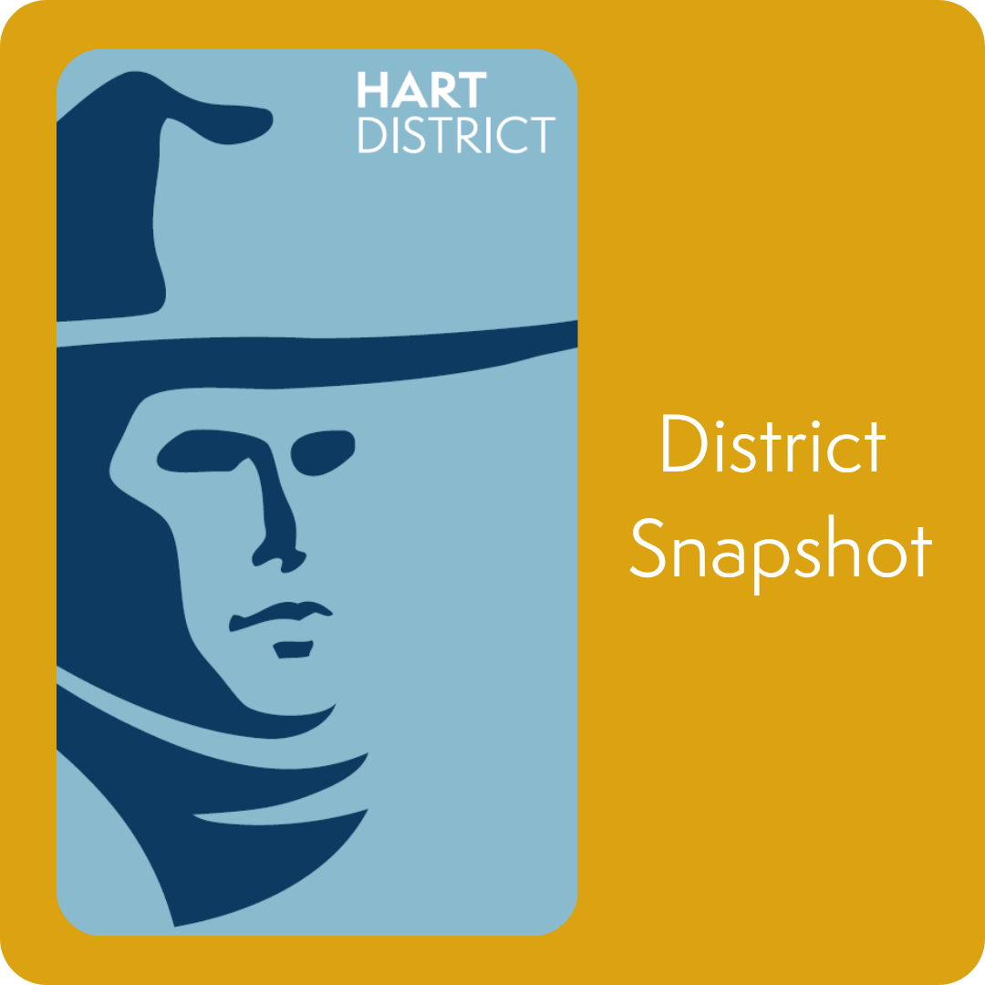 Blue cowboy with words: District Snapshot
