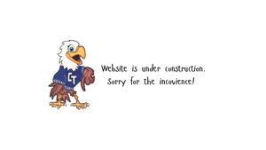 Website Construction