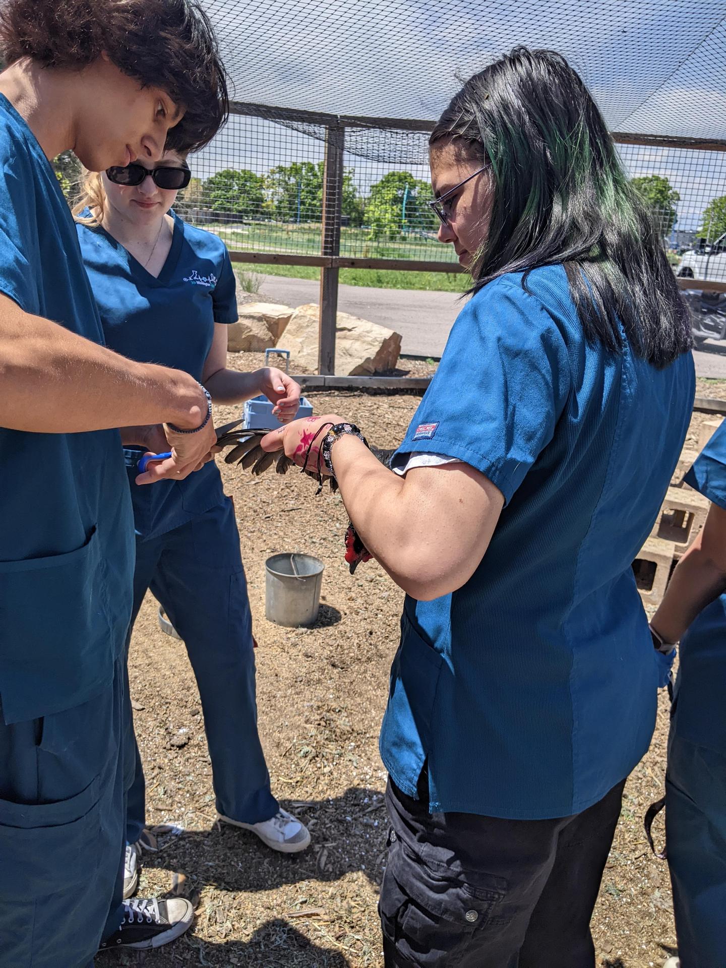 Future Foward Students with Westgate chickens