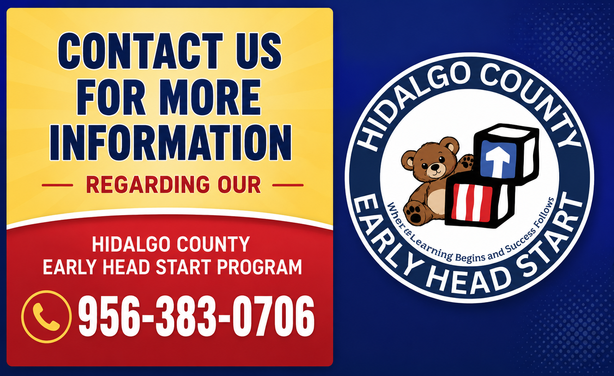 Early Head Start Services Graphic
