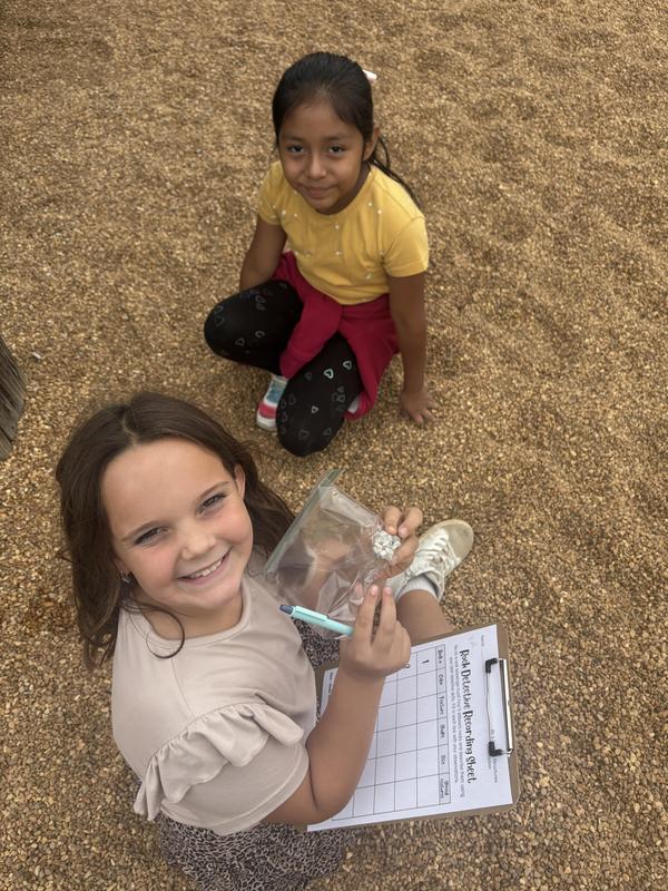 Rock Detectives