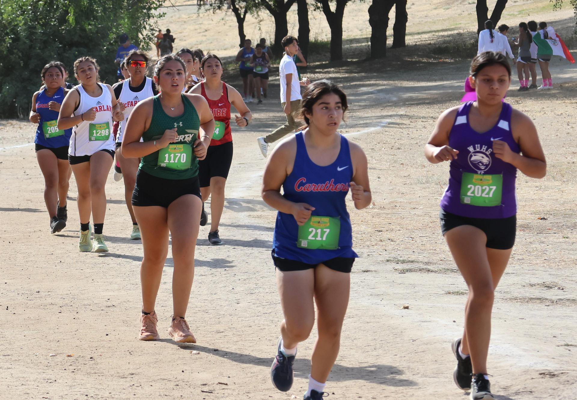 cross country runners in action