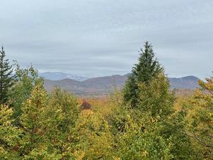 Scenic view of mountains and trees with autumn foliage under a cloudy sky.
