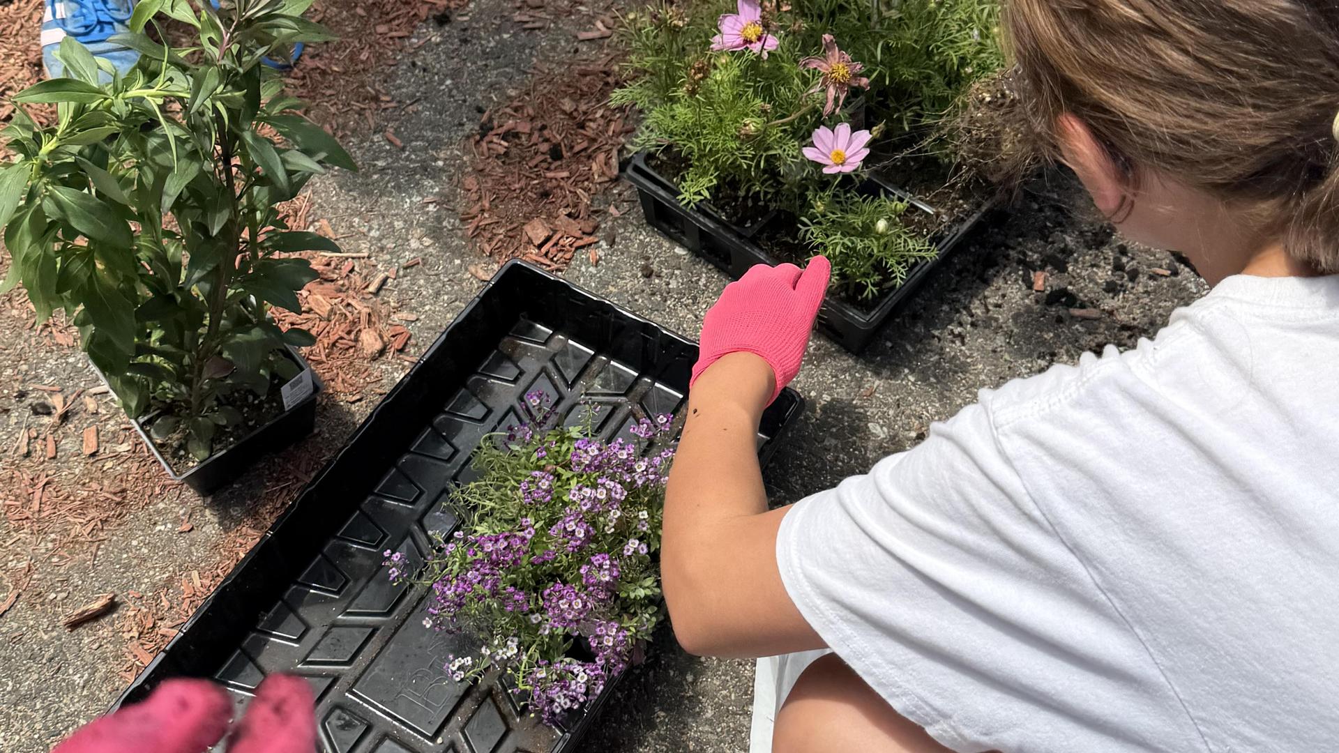 gardening