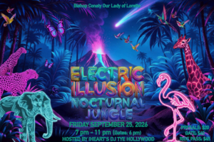Electric Illusion Poster