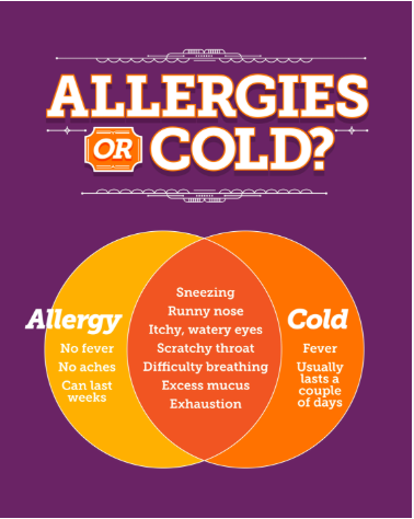 Allergies or Cold?