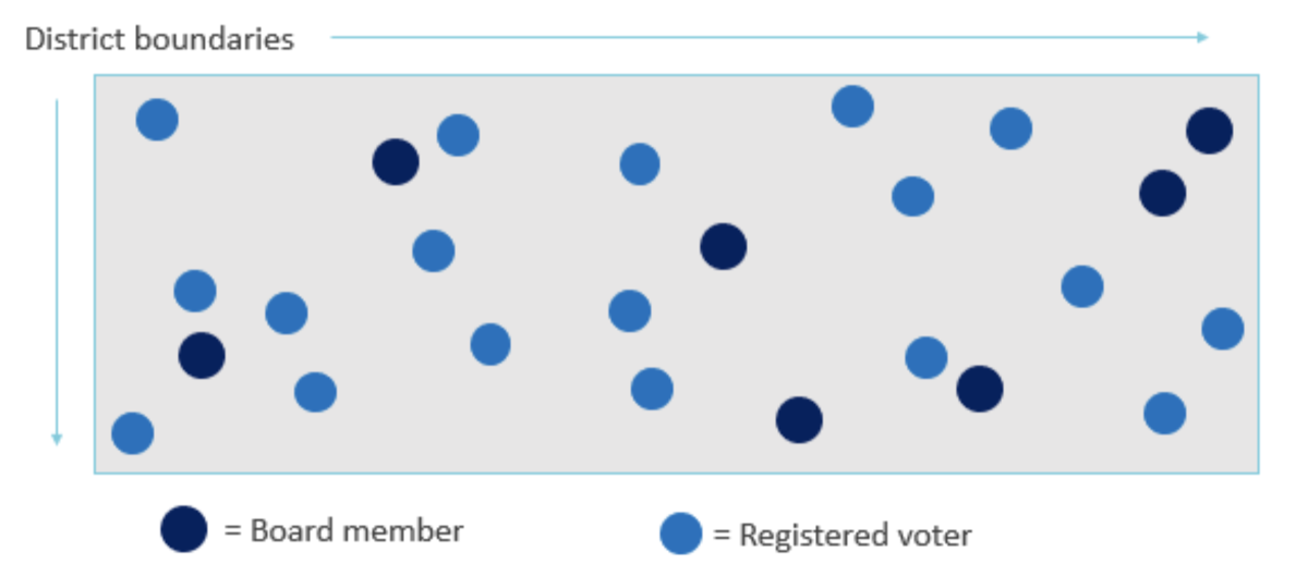 at large hybrid election graphic