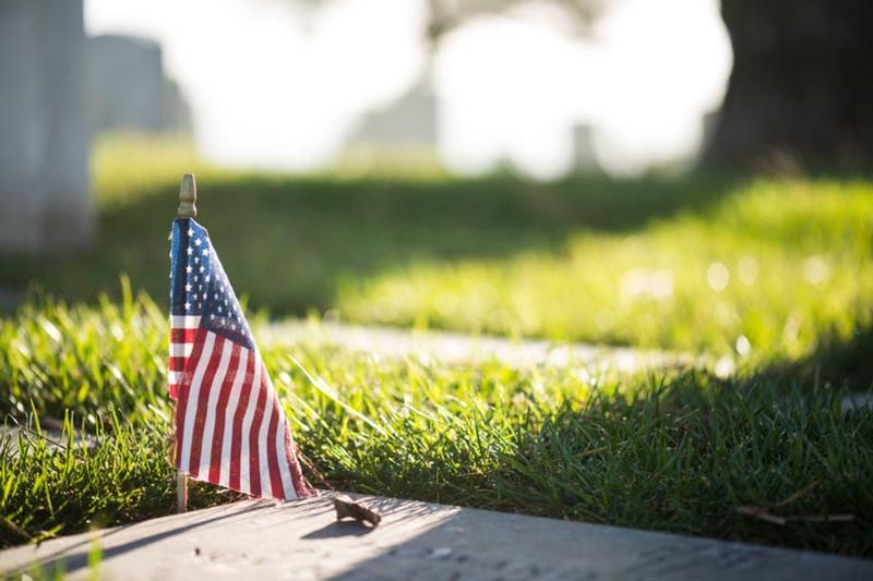 Veterans Day Observed poster