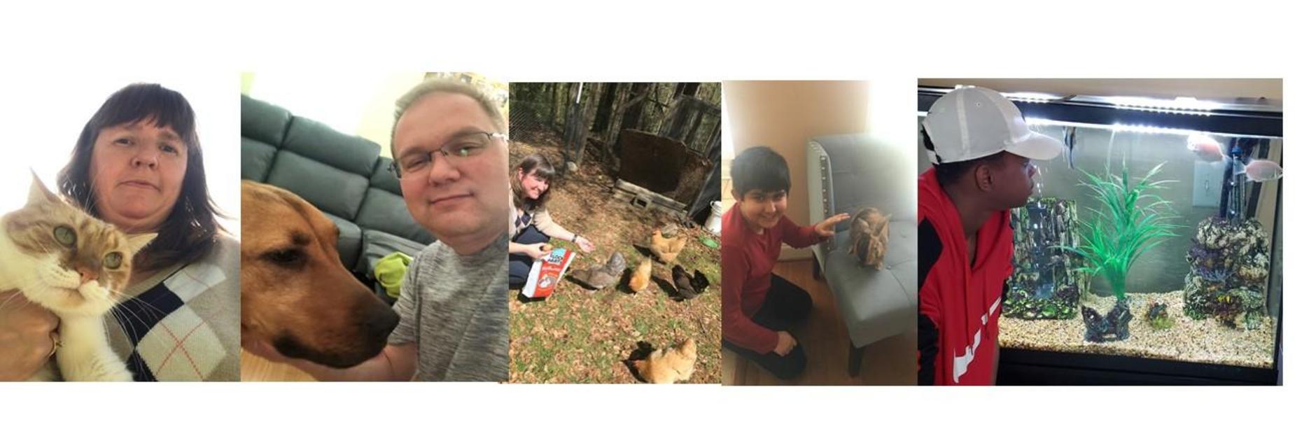 Pet Day