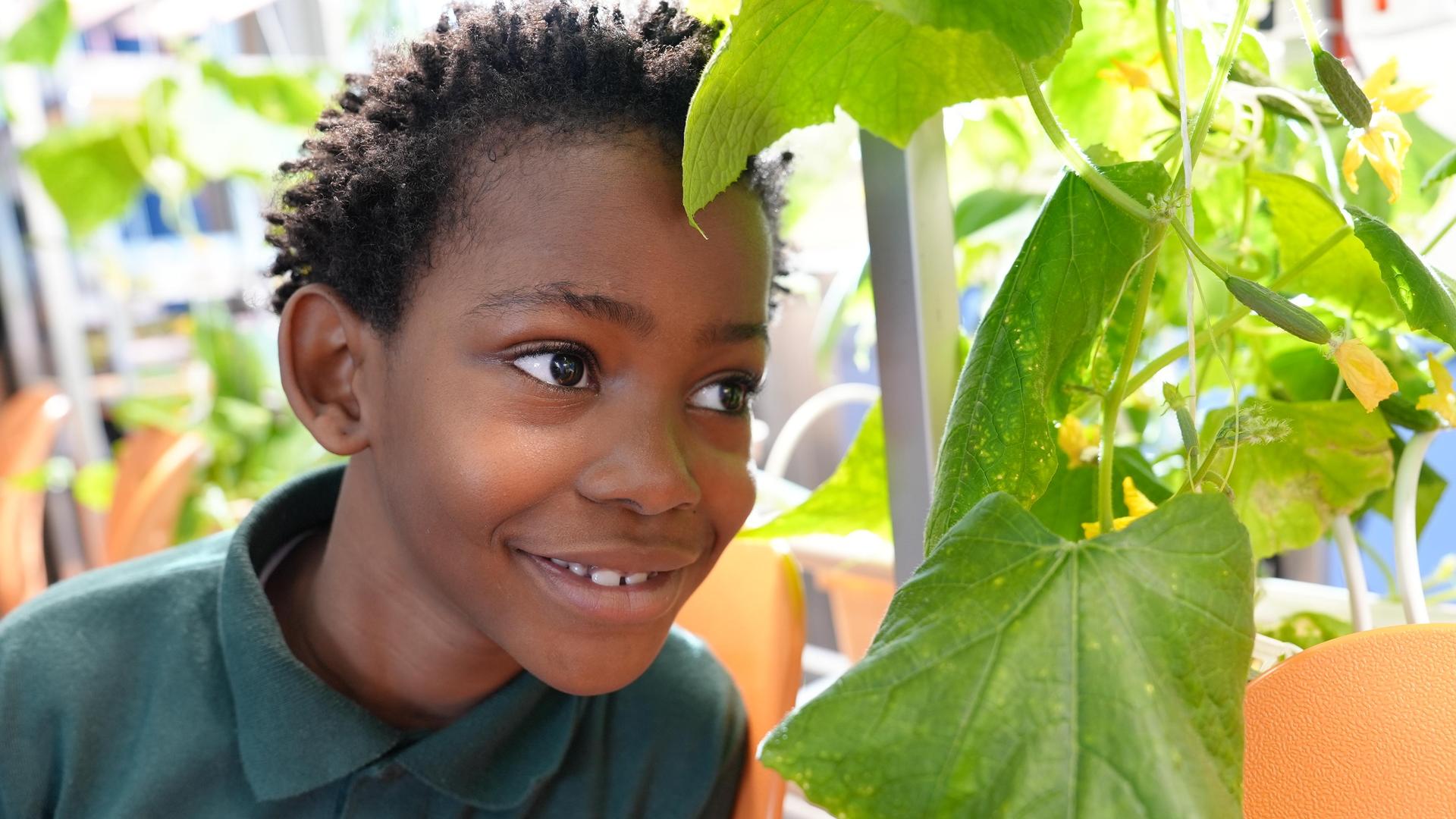 Boy smiling next to a plant in a greenhouse.