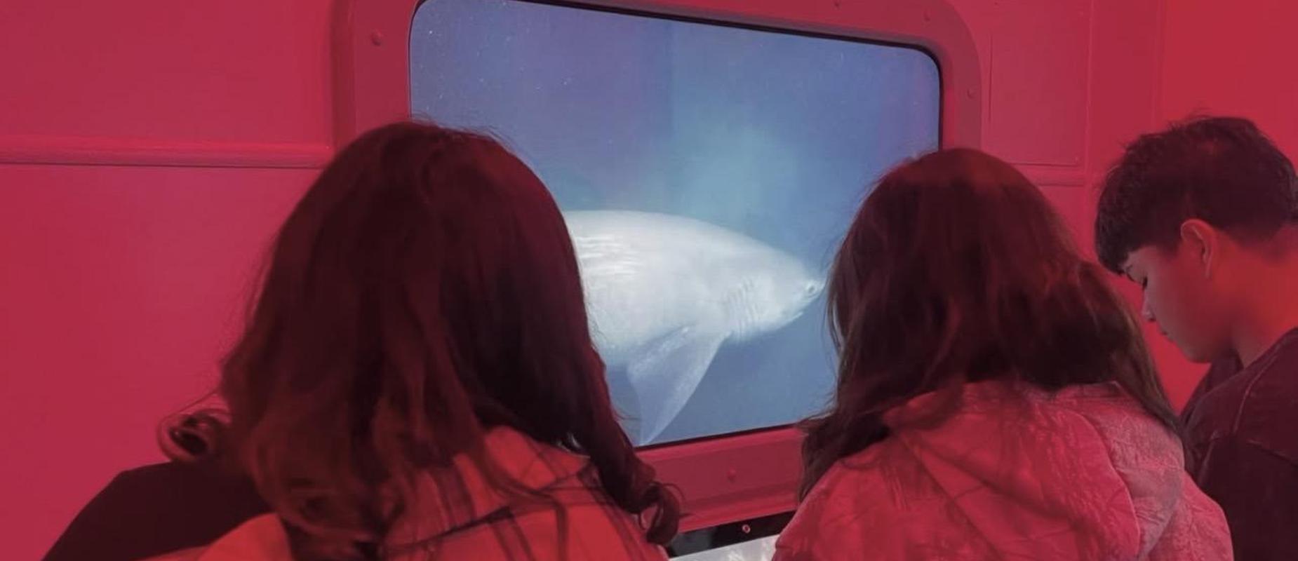 shark encounter at the mobile museum