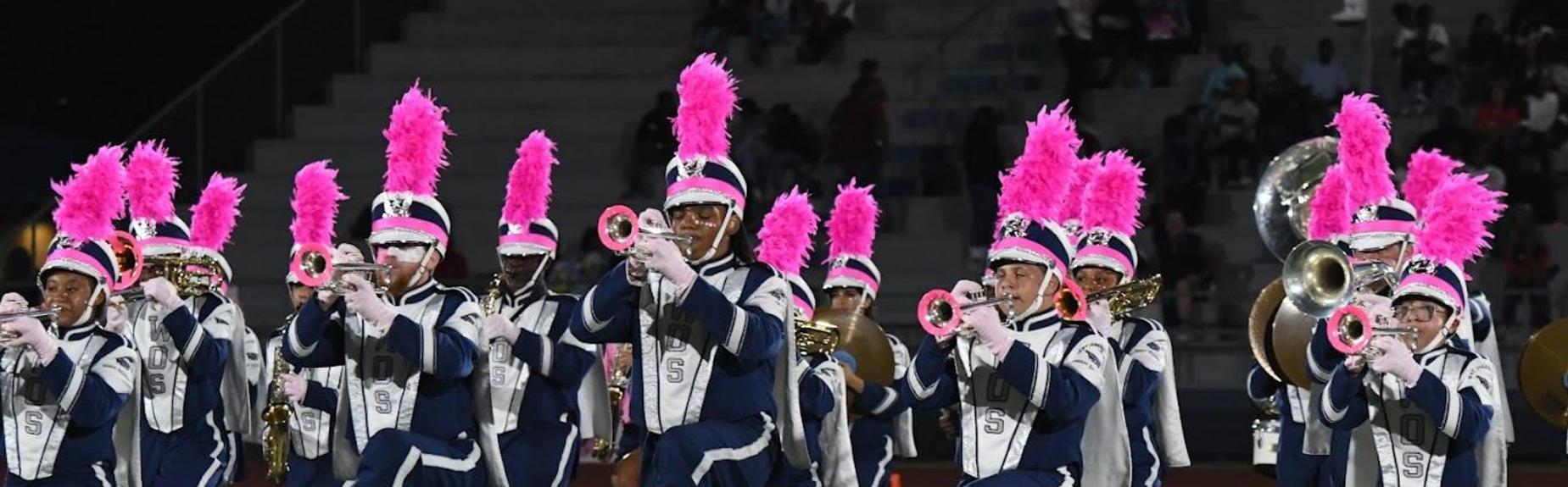 Marching band performing with instruments while wearing pink accessories.