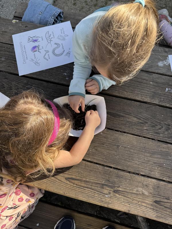 Two blonde 5 year olds are digging through a tray of soil at a picnic table in the garden looking for worms, centipedes, pill bugs, and other helpful creatures in the edible garden.
