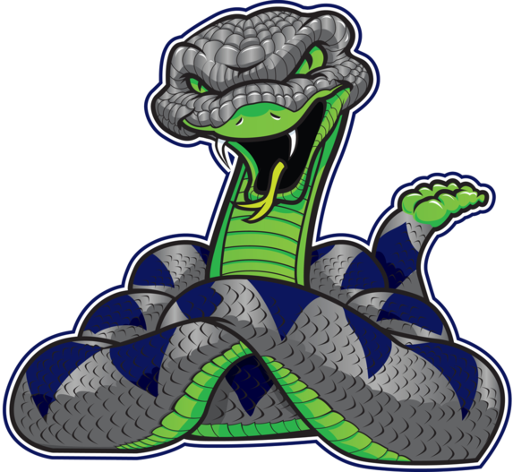school snake logo