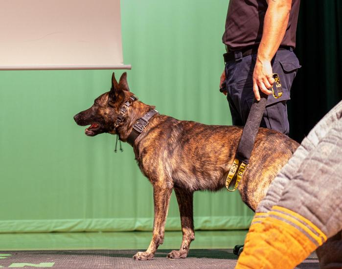 K-9 and Police Handler