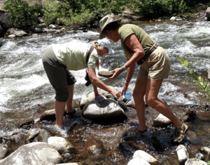 women conducting stream studies