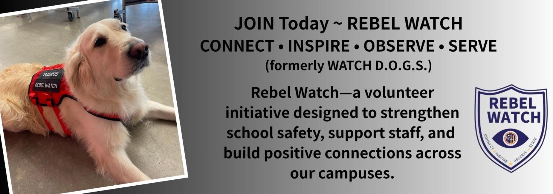 A golden retriever wearing a harness, promoting Rebel Watch initiative.