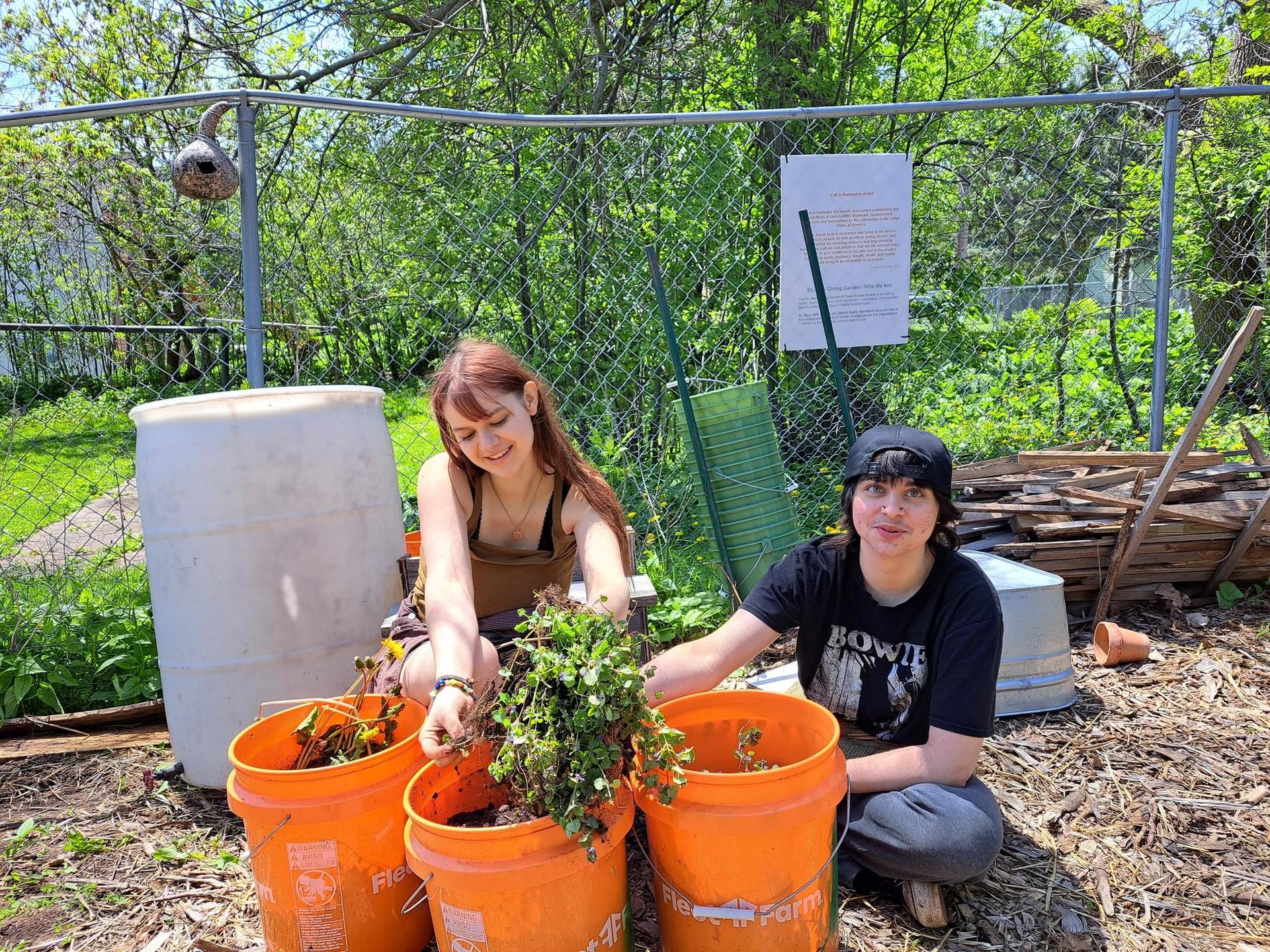 Two students sitting behind orange buckets, filling them with weeds pulled from the garden around them. 