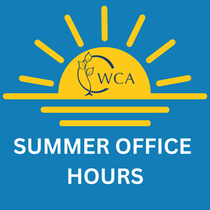 Summer Office Hours