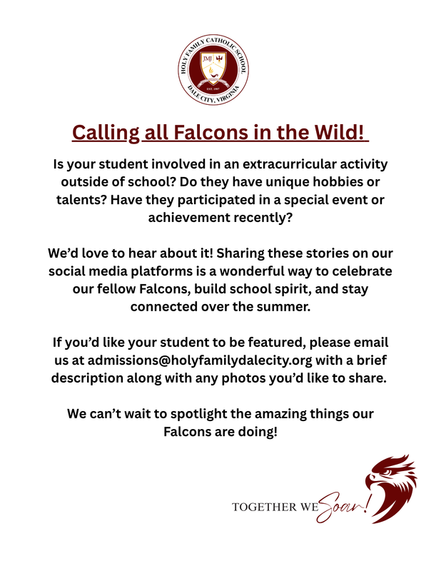 Falcons In The Wild Featured Photo