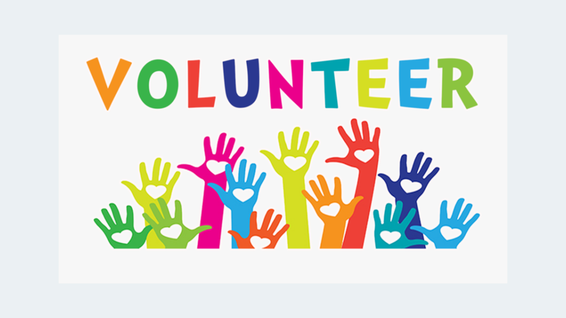 Volunteer at TMSA