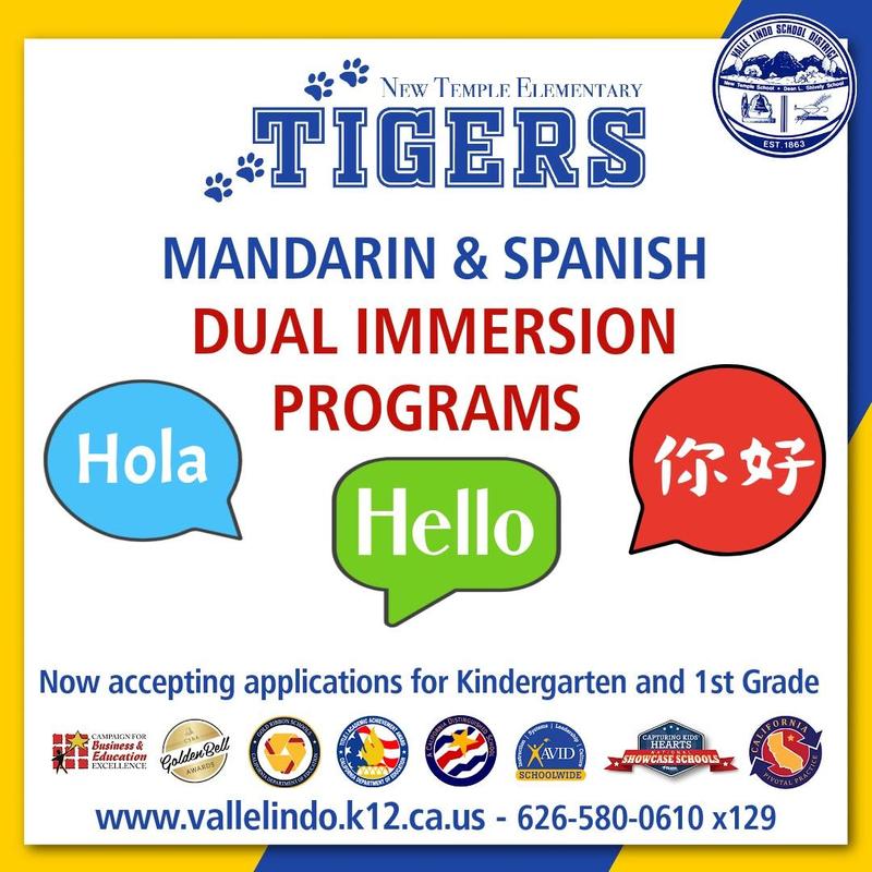 Dual Immersion