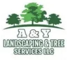 a&y logo