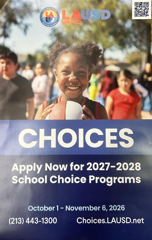 Choices English Flyer