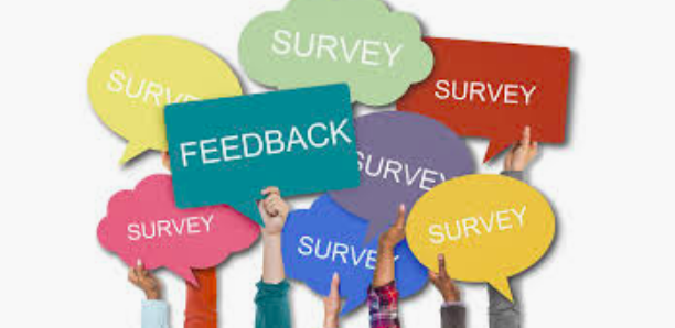 survey graphic