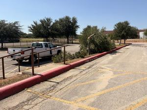 A pickup truck parked near a fallen tree on a marked parking lot.