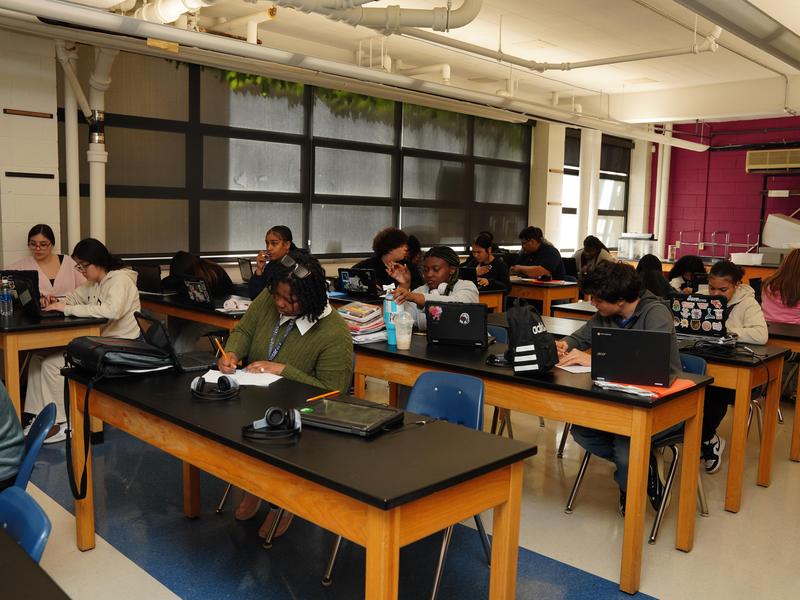 Students in science class
