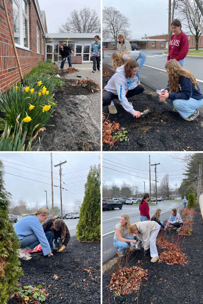 students planting tulips and cleaning up garden beds