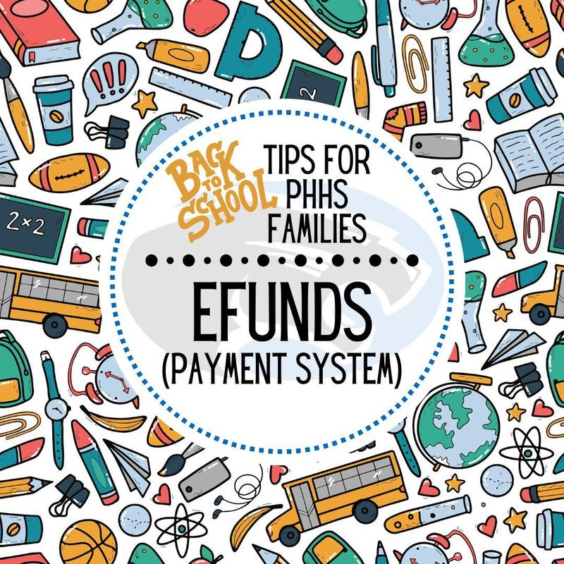 graphic that says "eFunds payment system"