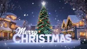 Merry Christmas picture