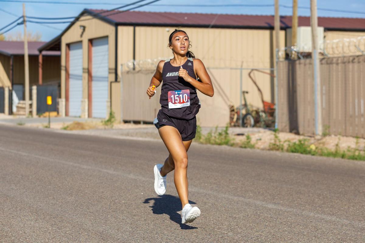 AHS Cross Country Meet