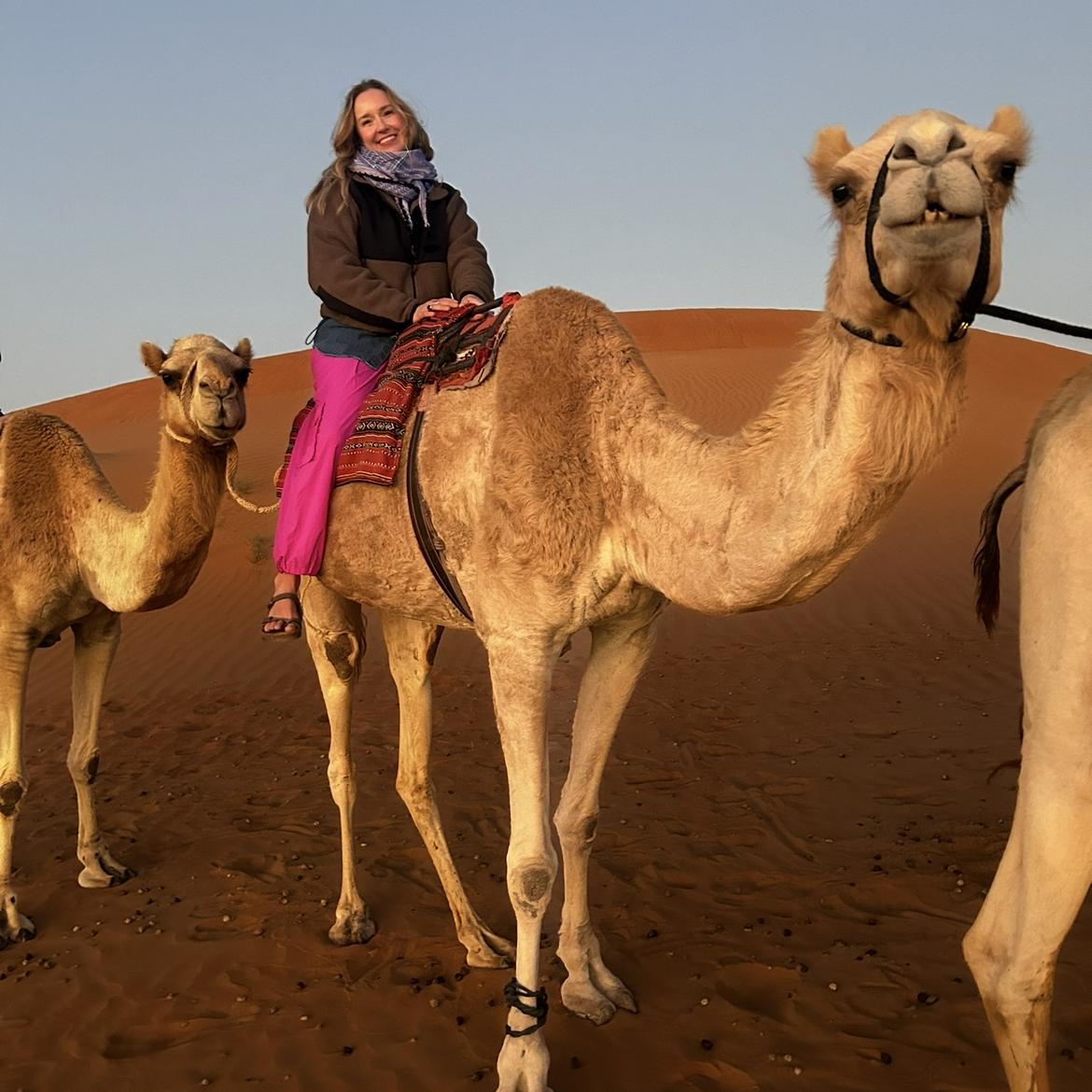 AlanaJevert's Profile Photo