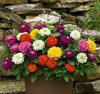 Spring Fundraiser Sale