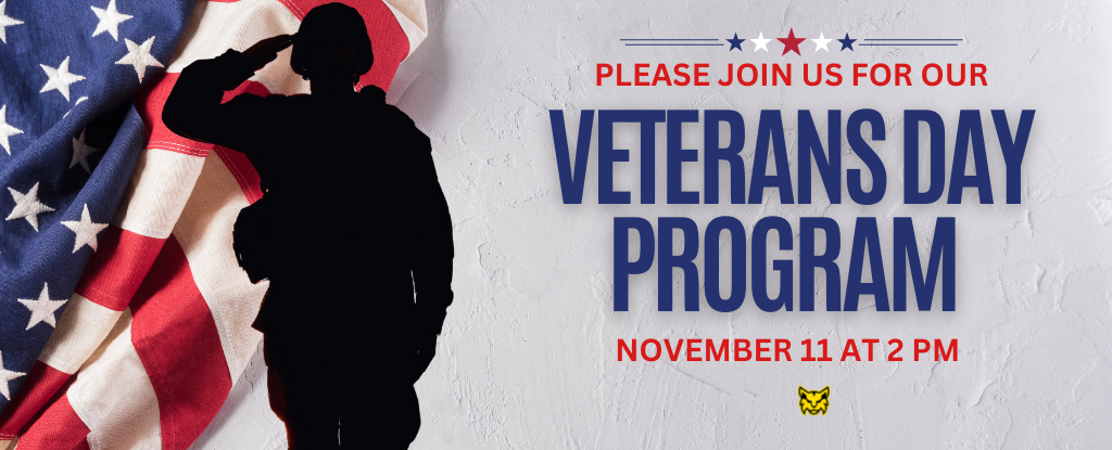 Silhouette of a soldier saluting next to an American flag and event details.