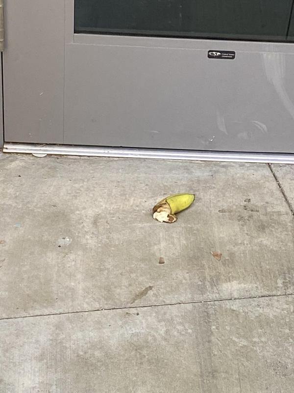 Banana on the ground
