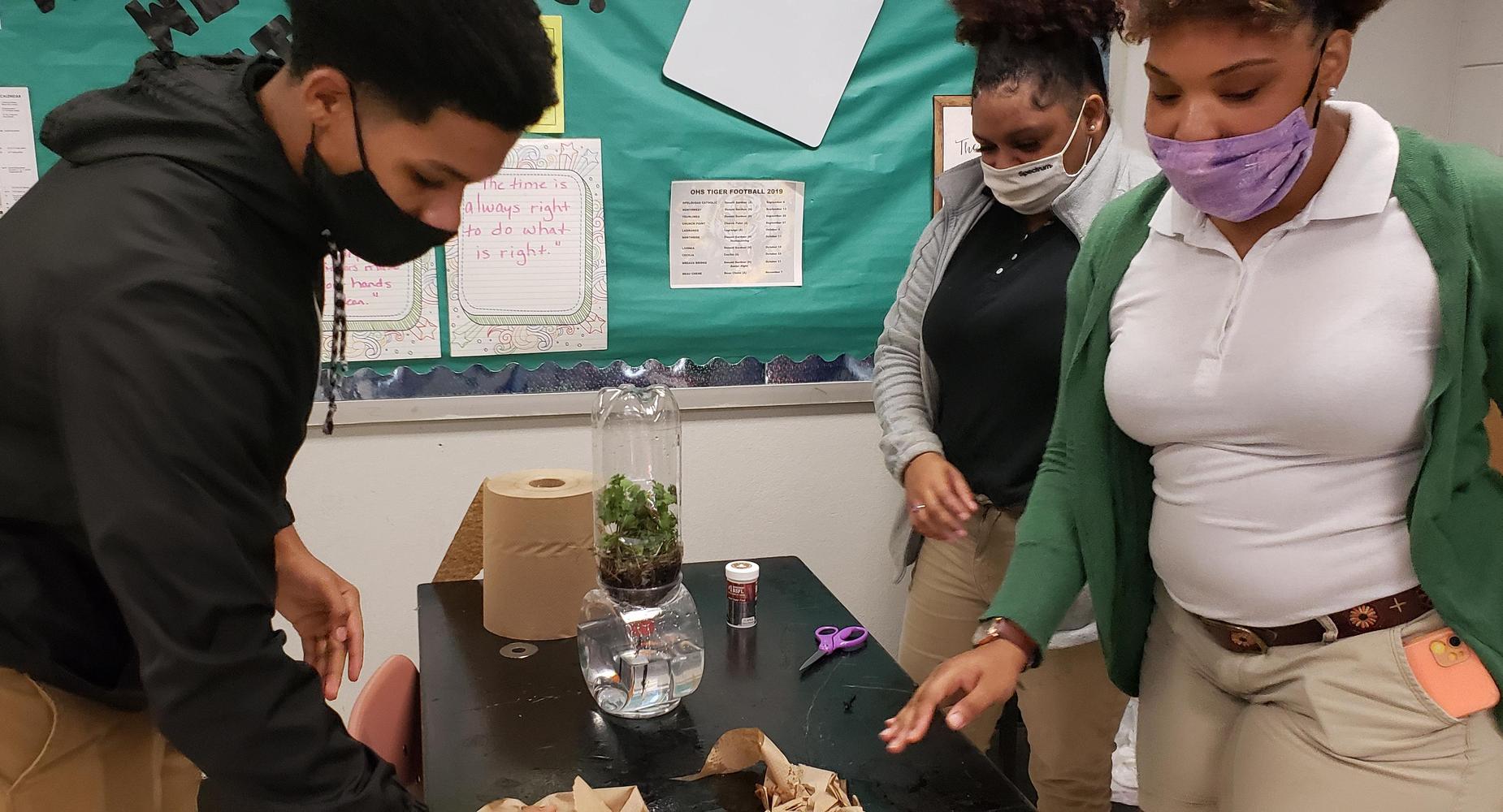 Environmental Science students build biomes