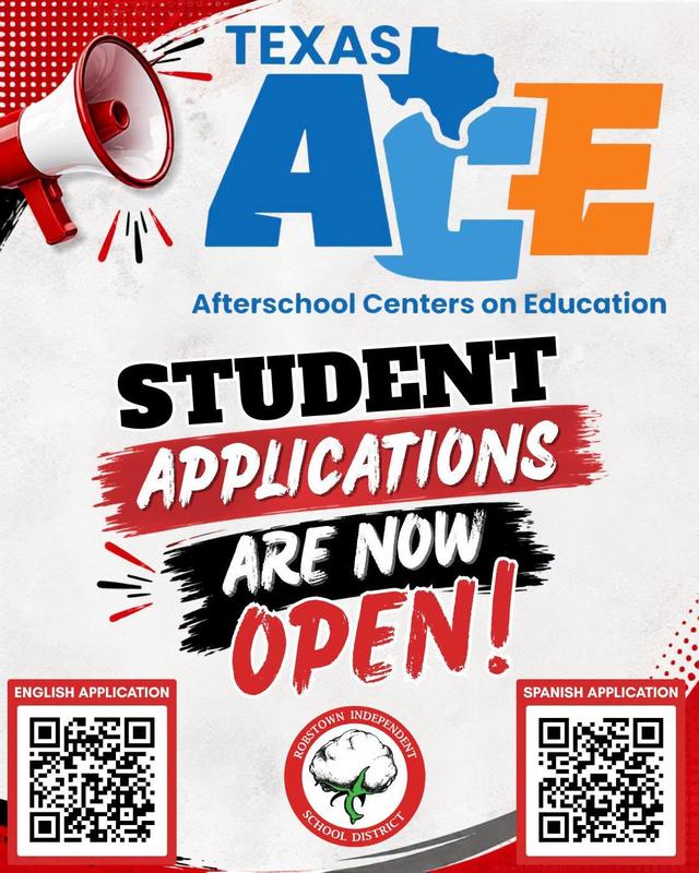 ACE Program