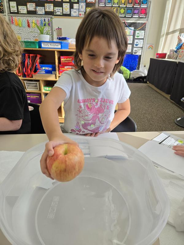 Students help find the prized apple