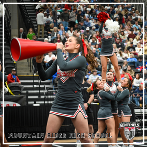 SENTINEL SPIRIT SHINES AT THE STATE CHAMPIONSHIPS